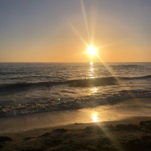 Meet your Posher, Ariel